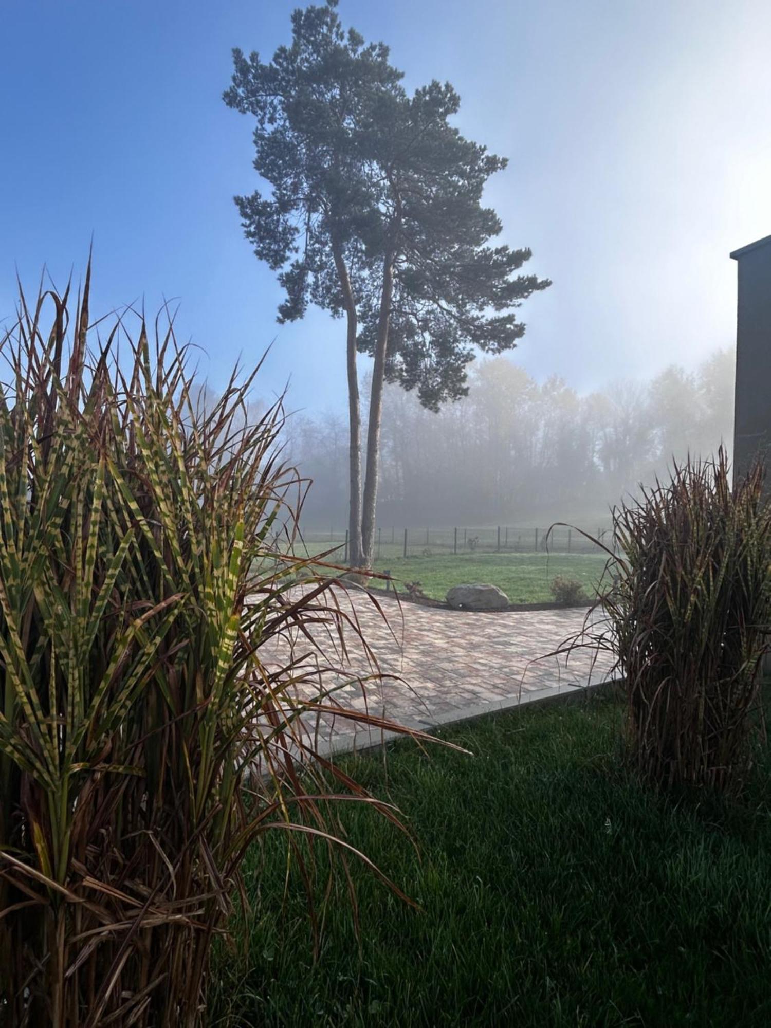 Gite "Villa Belle Vie" Labaroche Dış mekan fotoğraf